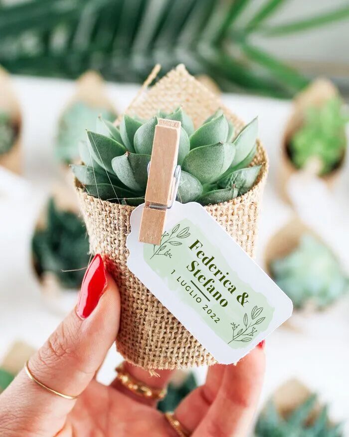 Bomboniera con Piante Grasse Succulente e Mini Cactus in Vasetto con Juta ed Etichetta Personalizzabile Con Motivi Botanici