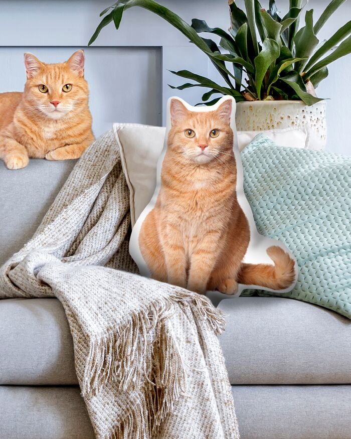 Cuscino a Forma di Gatto Personalizzabile con la Foto del Tuo Gatto - Idea Regalo Divertente per Lui, Lei, Amanti dei Gatti e degli Animali, Compleanno - immagine 2