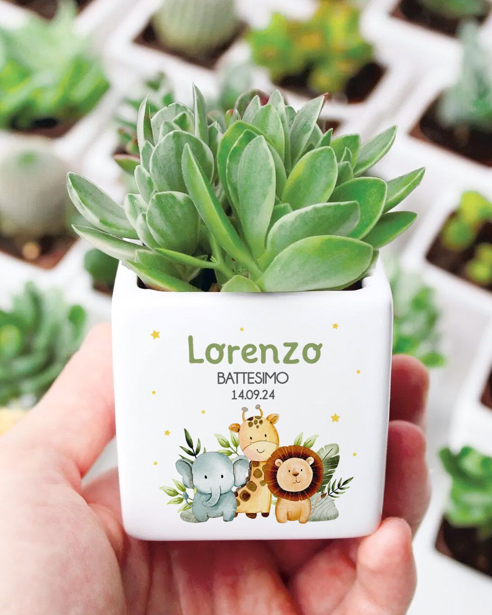 vasetti-pianta-grassa-battesimo-personalizzato-bomboniera-cadeaux-safari-giraffa-elefante-leone