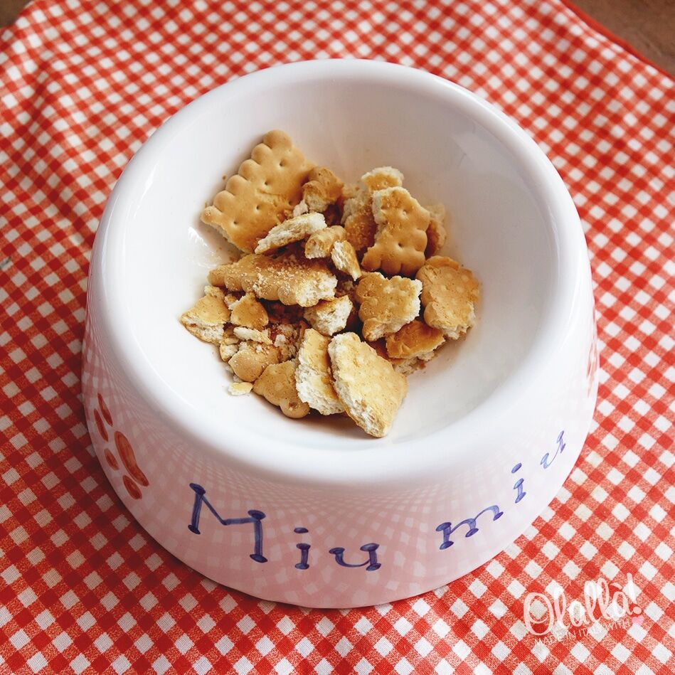 ciotola-cibo-cane-ceramica-personalizzata-2