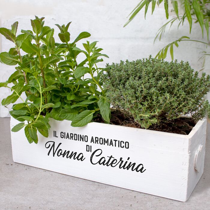 Vaso Personalizzato Legno Giardino Aromatico Erbe 3