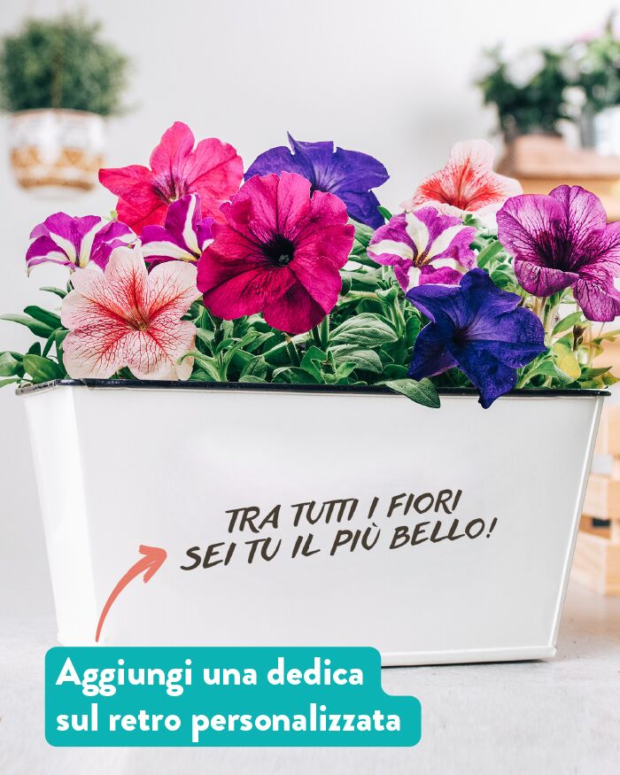 regalo-personalizzato-vaso-fiori-festa-mamma