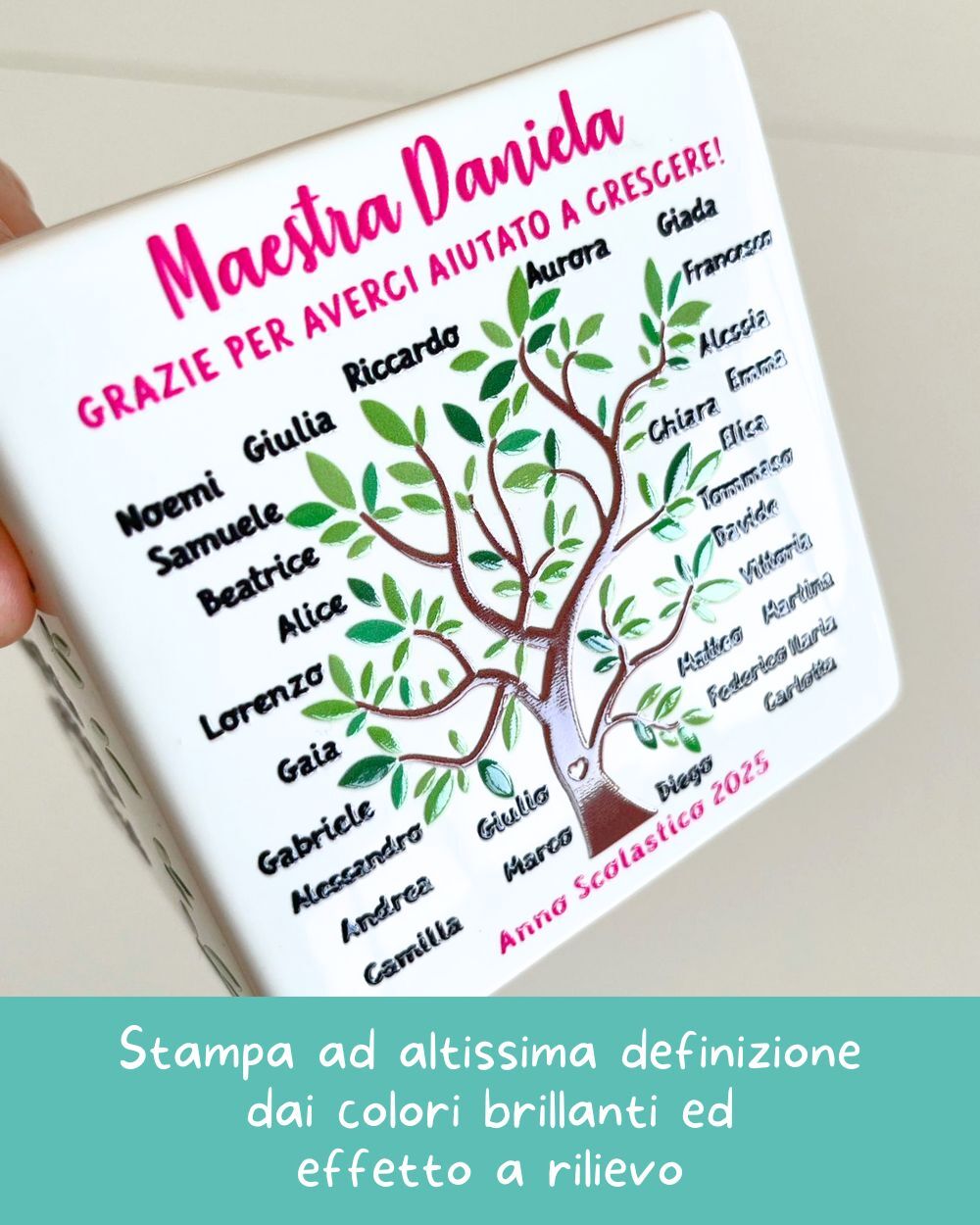 Infografiche Vaso Maestre