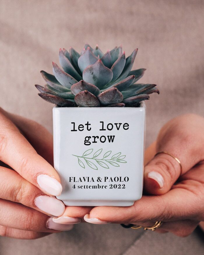 bomboniera-personalizzata-vasetto-pianta-grassa-matrimonio