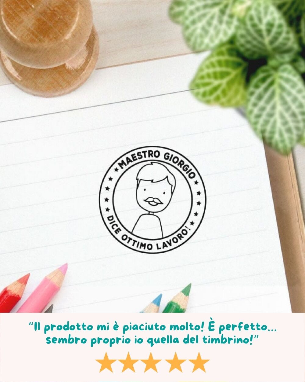 infografica-timbro-maestra-recensione