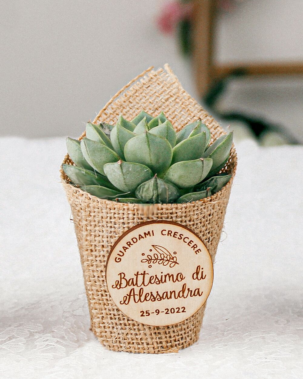 Vaseeo Bomboniera Succulenta Evento Personalizzato Battesimo