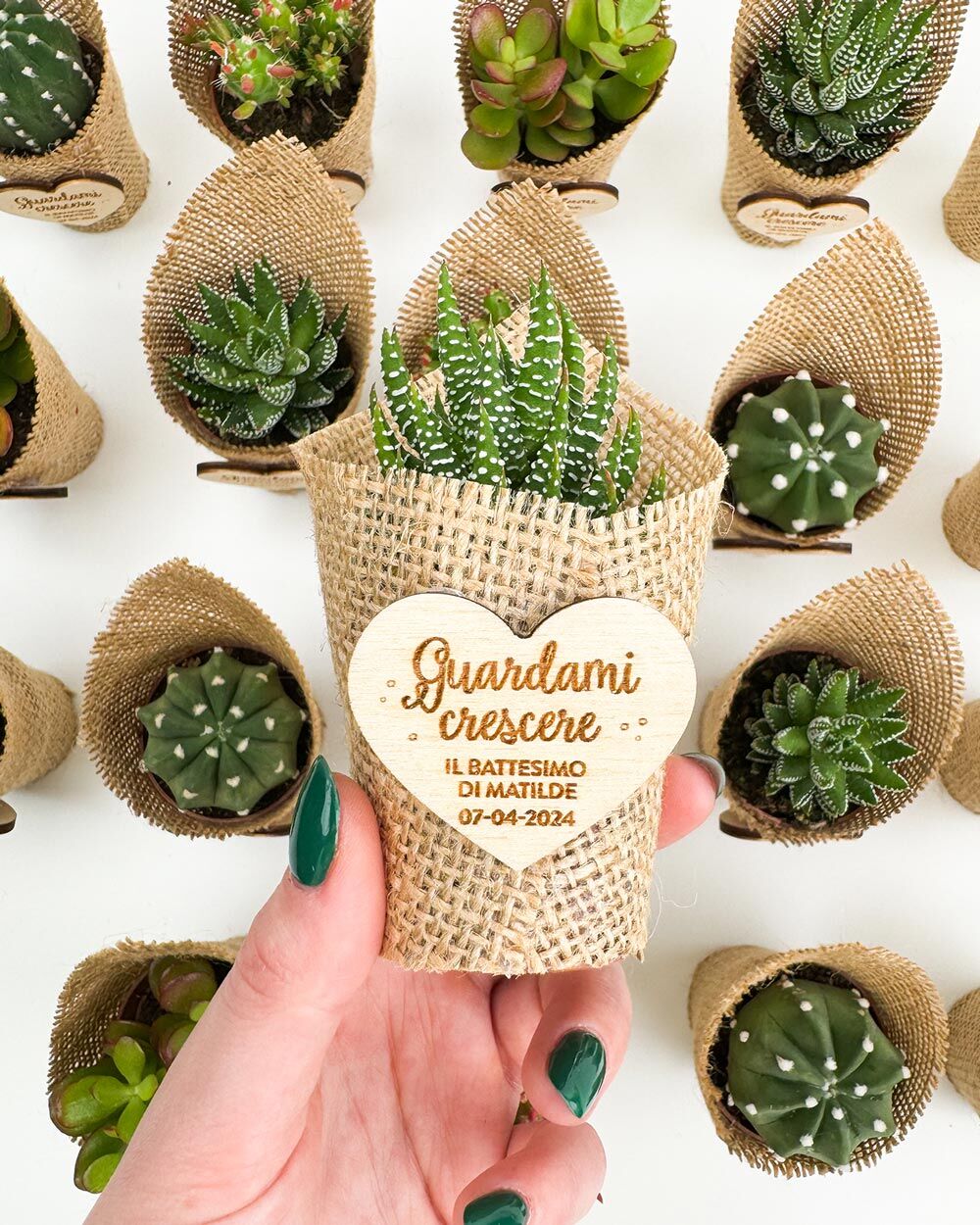 bomboniera-personalizzata-pianta-tag-battesimo