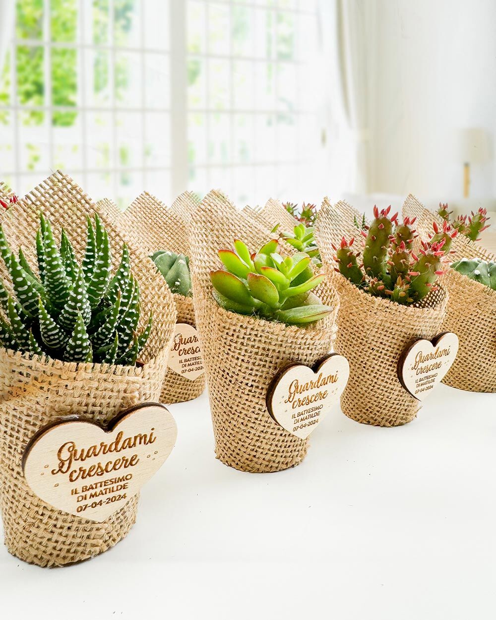 bomboniera-personalizzata-pianta-tag-battesimo