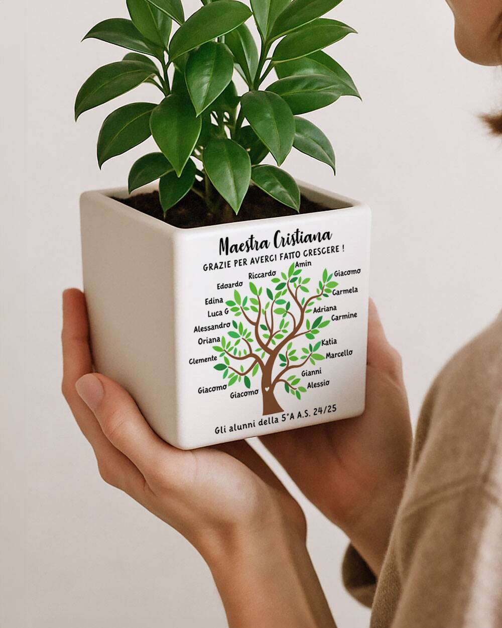 Vaso Albero Della Vita Regalo Maestre Personalizzato Olalla2522514633