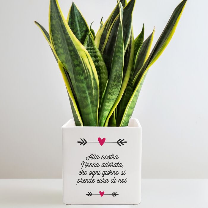 vaso-personalizzato-nonna-ti-voglio-bene-retro