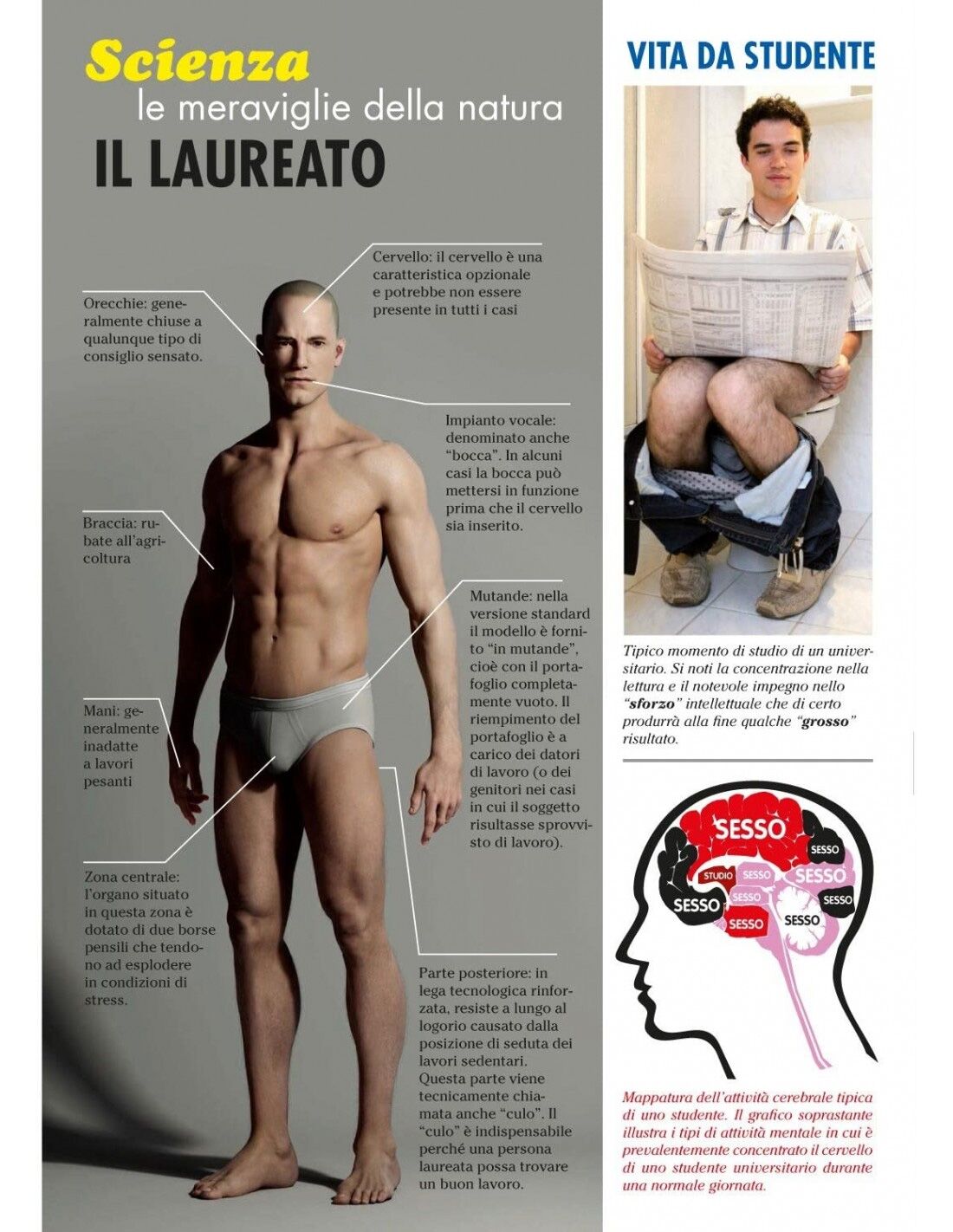 libro-finto-ridere-giornale-laureaw