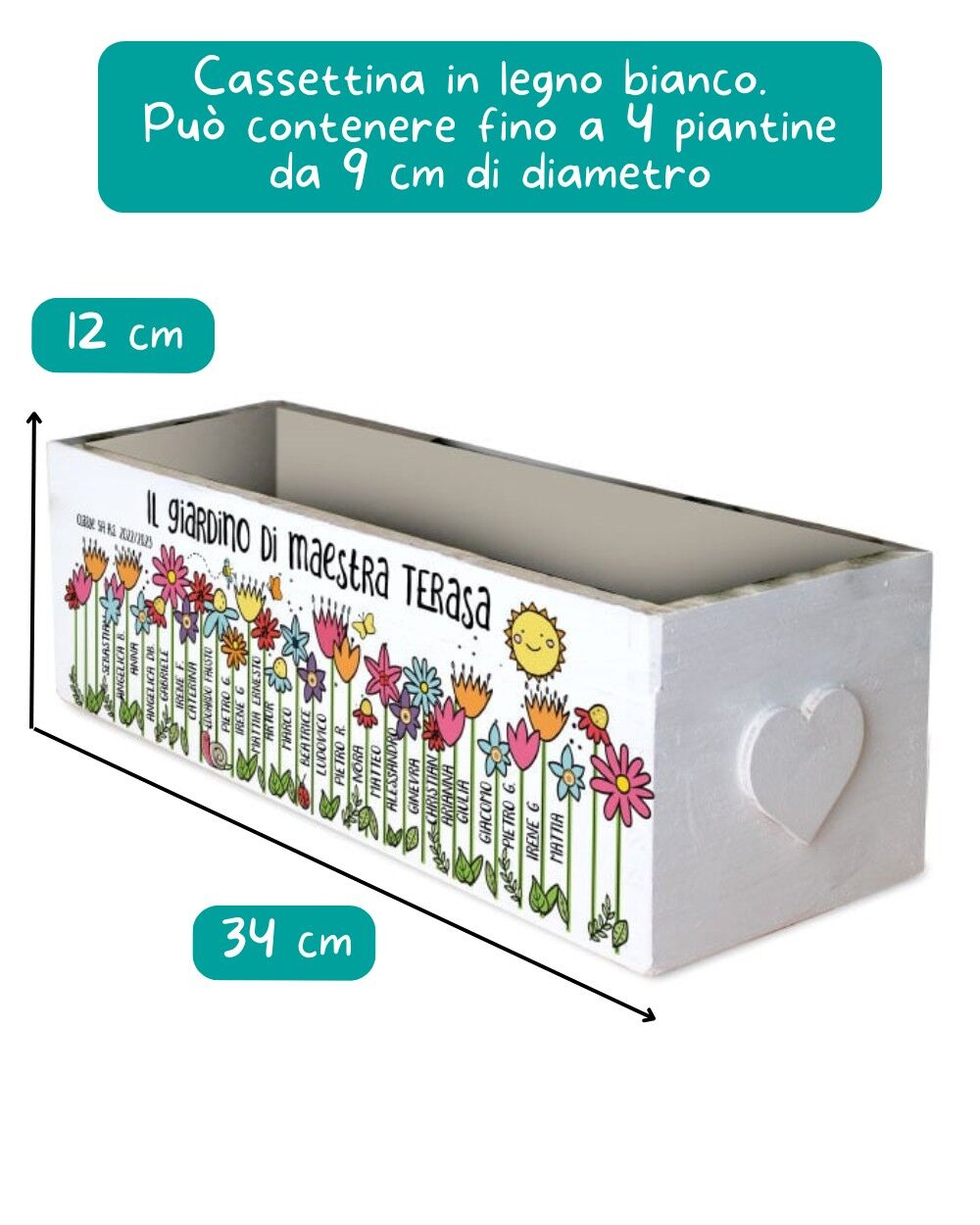 infografica-cassettina-fiori-maestra-dimensioni
