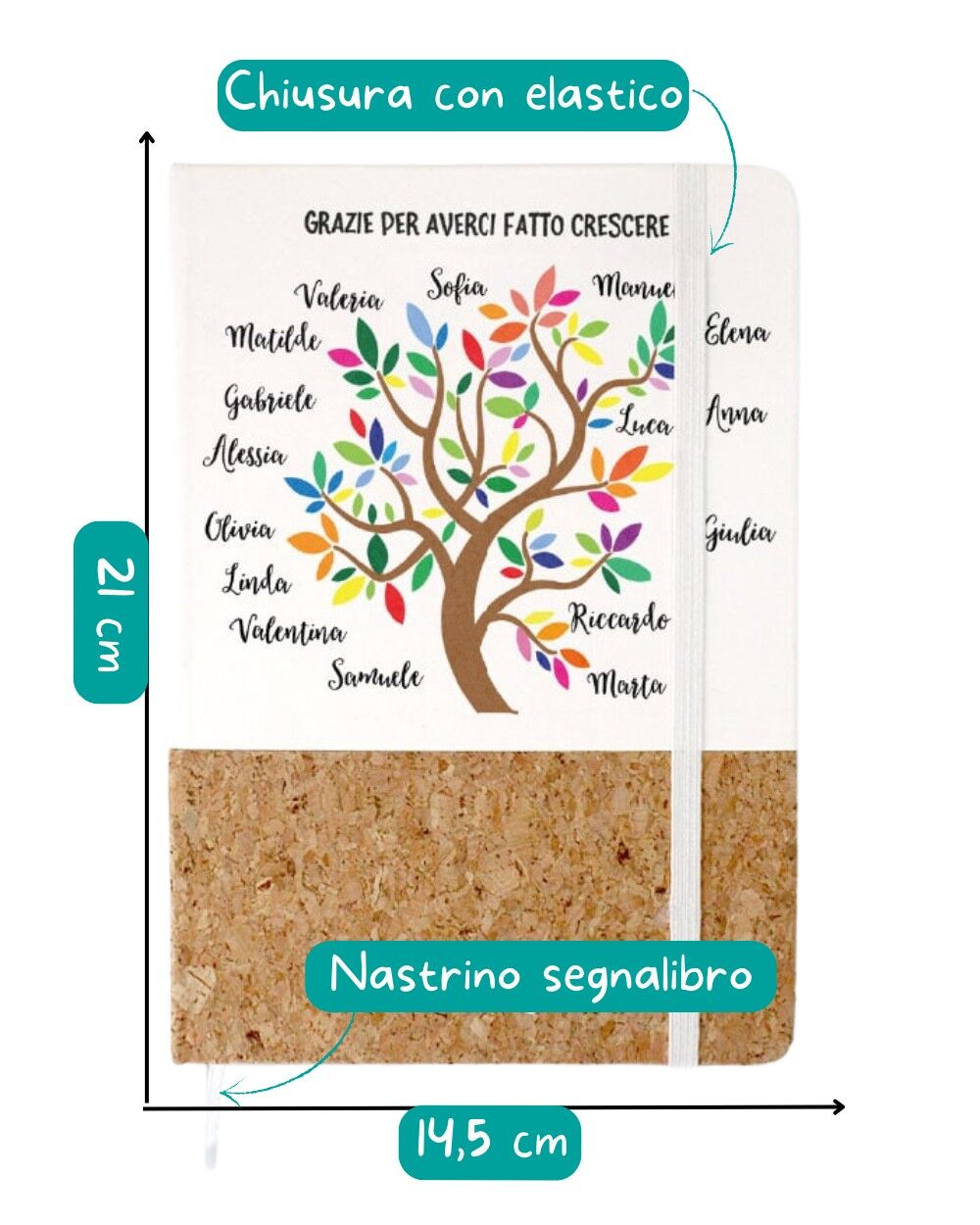 Infografica Quaderno Albero Maestre Dimensioni 1