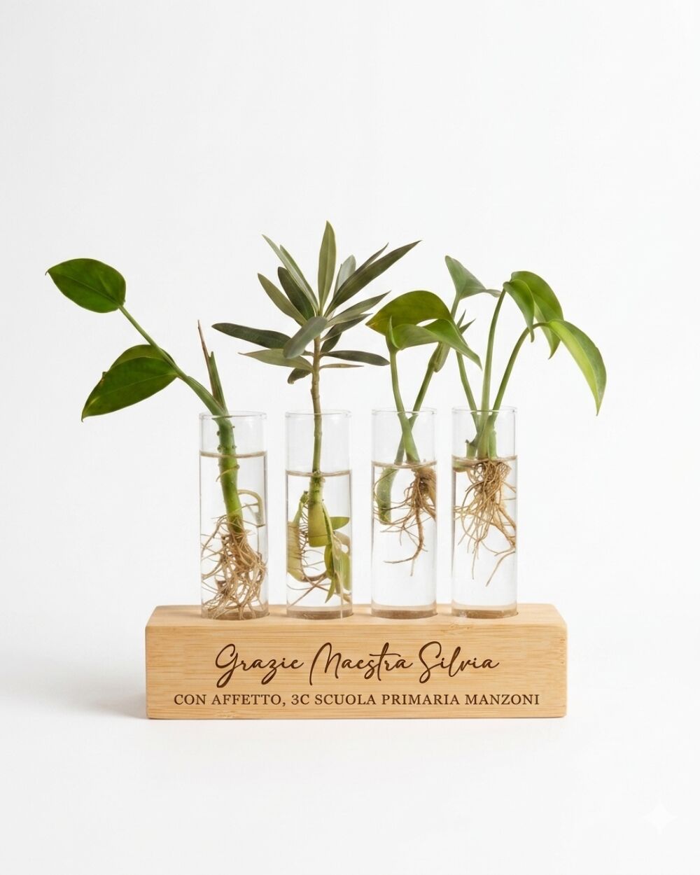 regalo-personalizzato-maestra-porta-talee-1