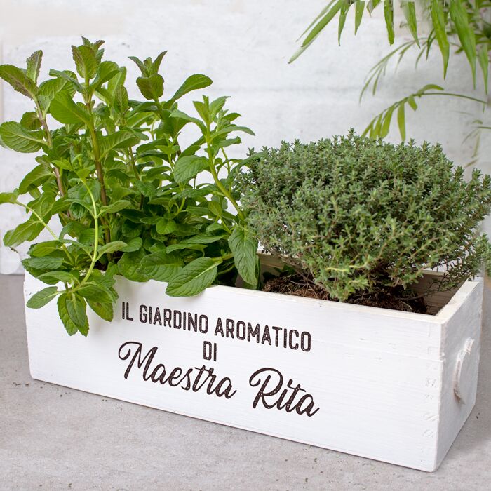 fioriera-personalizzata-regalo-maestra