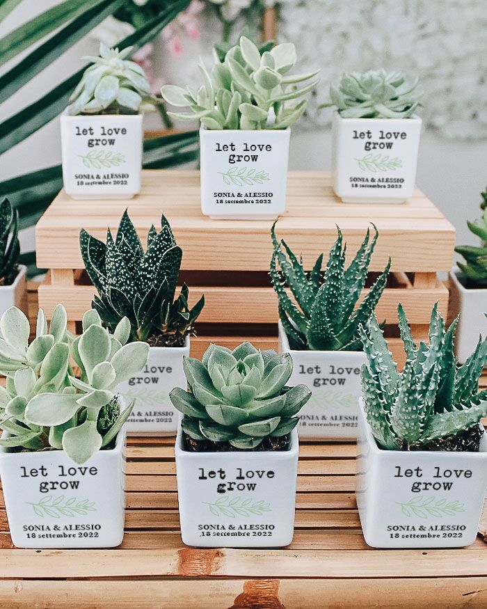 bomboniera-personalizzata-vasetto-pianta-grassa-matrimonio03