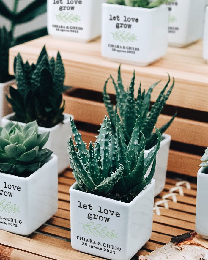 bomboniera-personalizzata-vasetto-pianta-grassa-matrimonio03