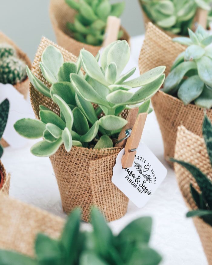 bomboniere-piante-grasse-vaso-ceramica-matrimonio7
