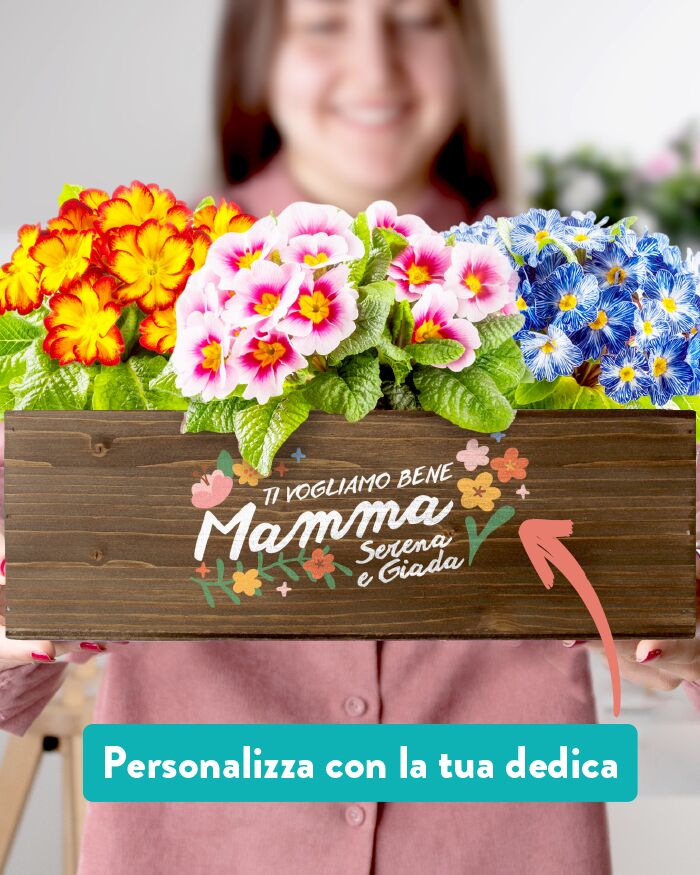 Cassettina Personalizzata "Ti Voglio Bene Mamma" Erbe Aromatiche o Piante per il Giardino - Idea Regalo Originale per Festa della Mamma, Compleanno, Mamme che Amano il Giardinaggio - immagine 3