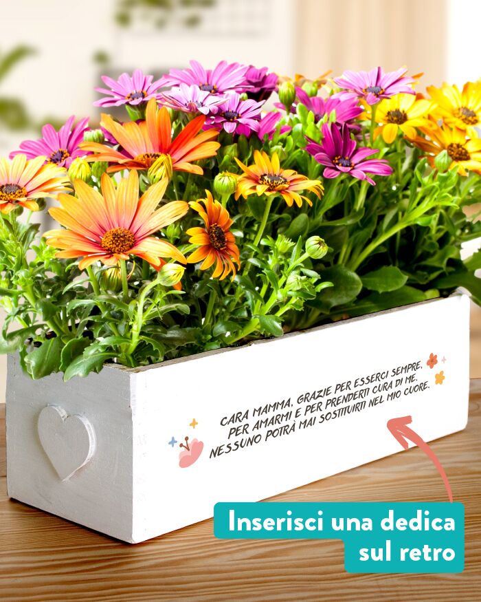 Cassettina Personalizzata "Ti Voglio Bene Mamma" Erbe Aromatiche o Piante per il Giardino - Idea Regalo Originale per Festa della Mamma, Compleanno, Mamme che Amano il Giardinaggio - immagine 4