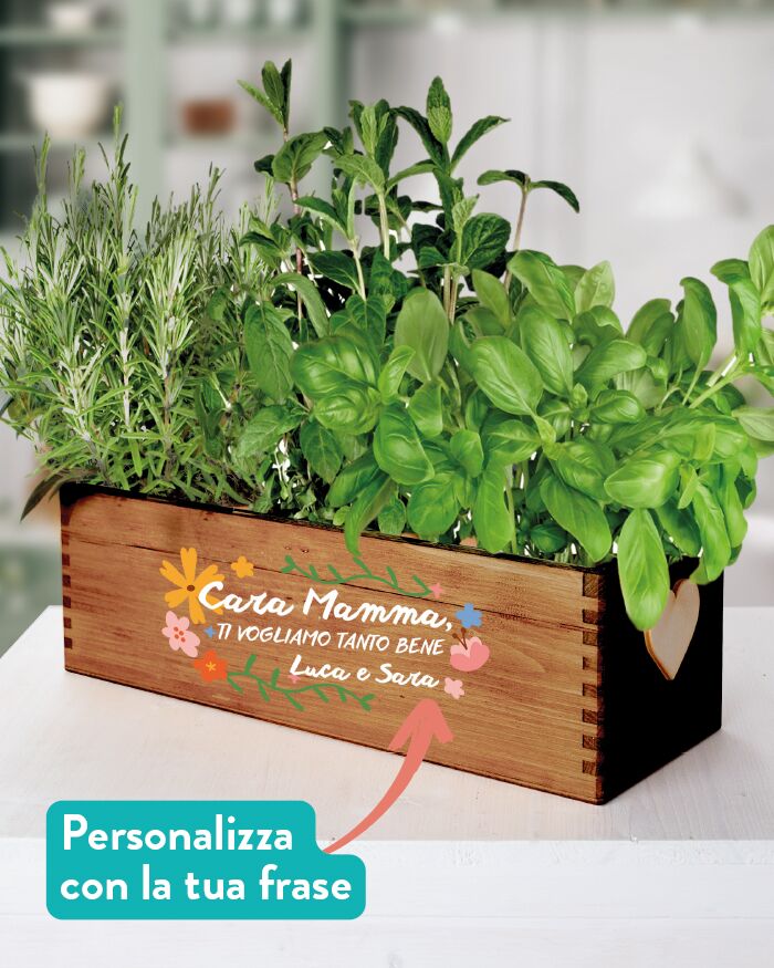 Cassettina Personalizzabile Porta Fiori o Erbe Aromatiche "Cara Mamma" - Idea Regalo Originale per Festa della Mamma, Compleanno, Mamme che Amano il Giardinaggio - immagine 4