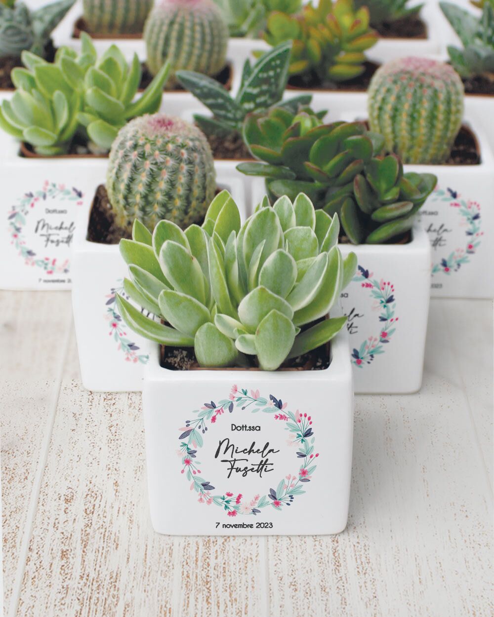 Bomboniera con Piante Grasse Succulente e Mini Cactus in Vasetto di Ceramica Bianco Personalizzata con Nome, Corona di Fiori Colorati e Data - Idea Bomboniera Laurea - immagine 2