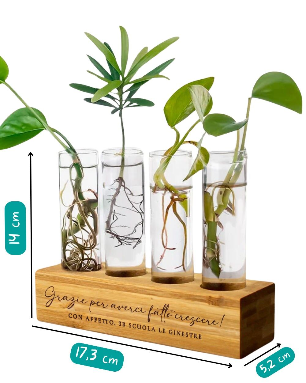 set-vasi-vetro-base-bambu-personalizzata-per-propagazione-talee-tecnica-idroponica-idea-regalo-maestre-3