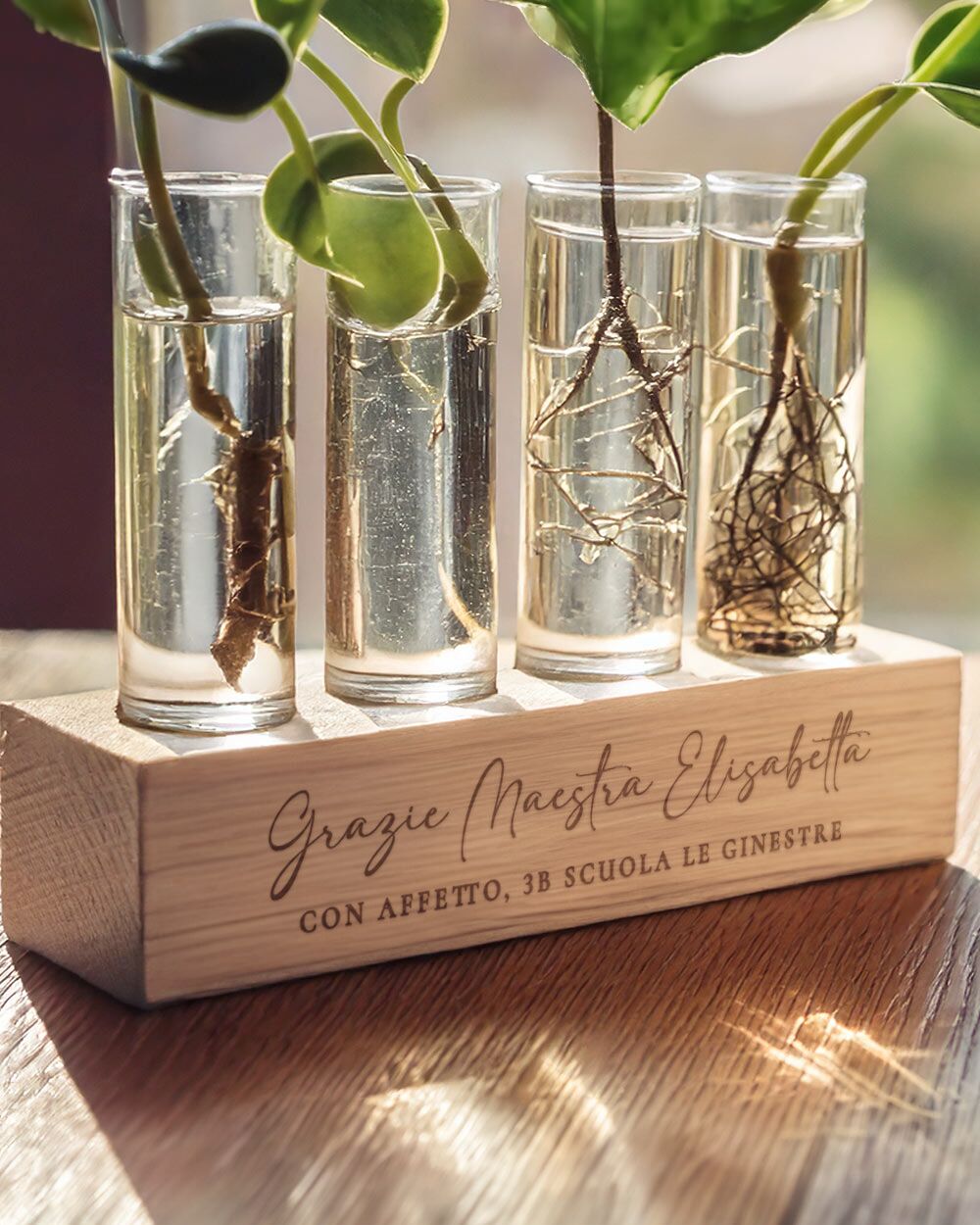 regalo-personalizzato-maestra-porta-talee