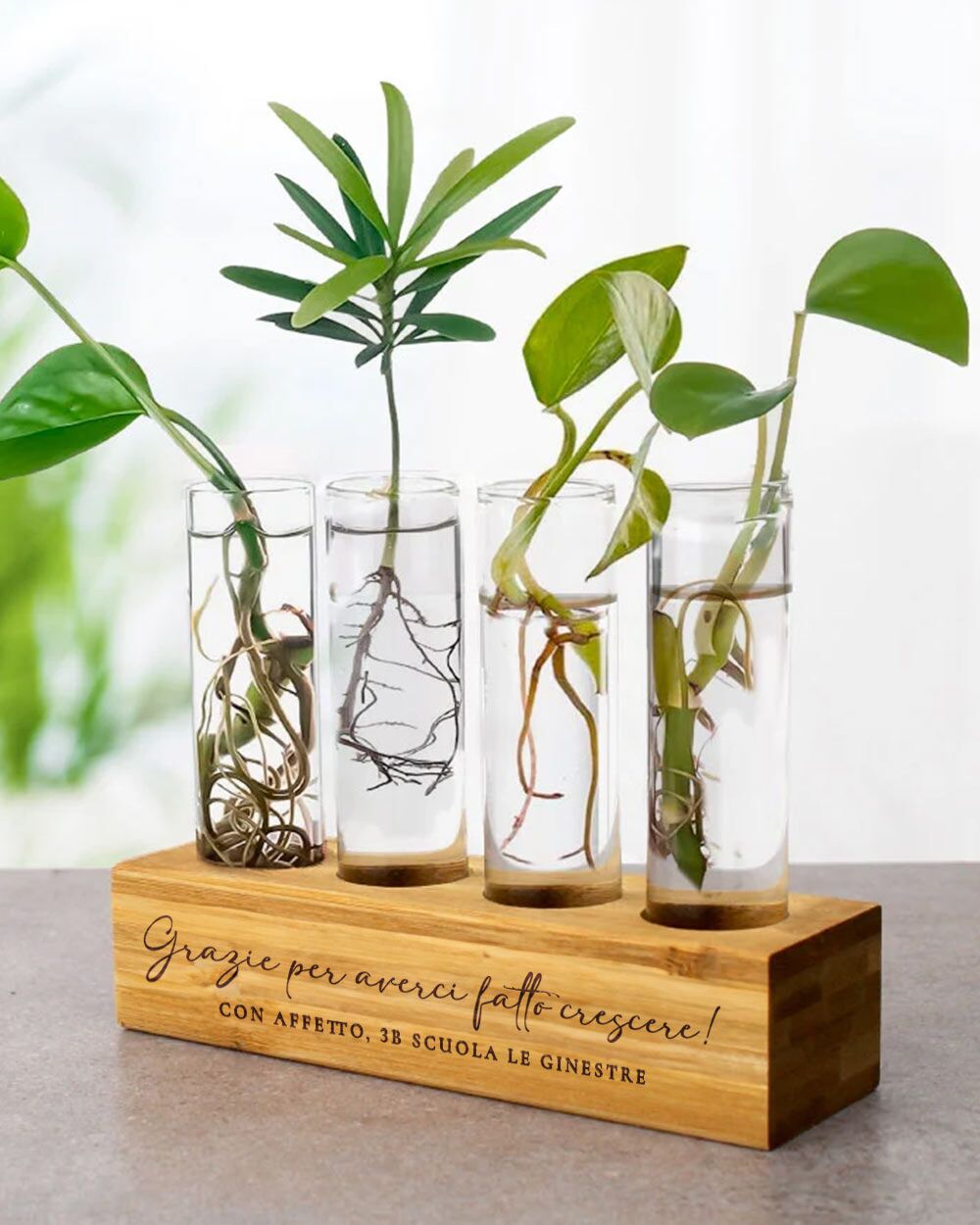 regalo-personalizzato-maestra-porta-talee