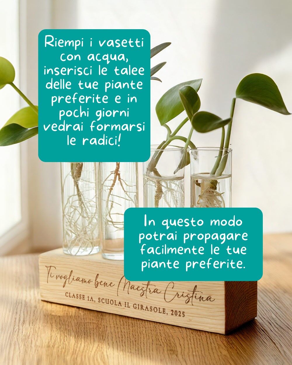 set-vasi-vetro-base-bambu-personalizzata-per-propagazione-talee-tecnica-idroponica-idea-regalo-maestre-2