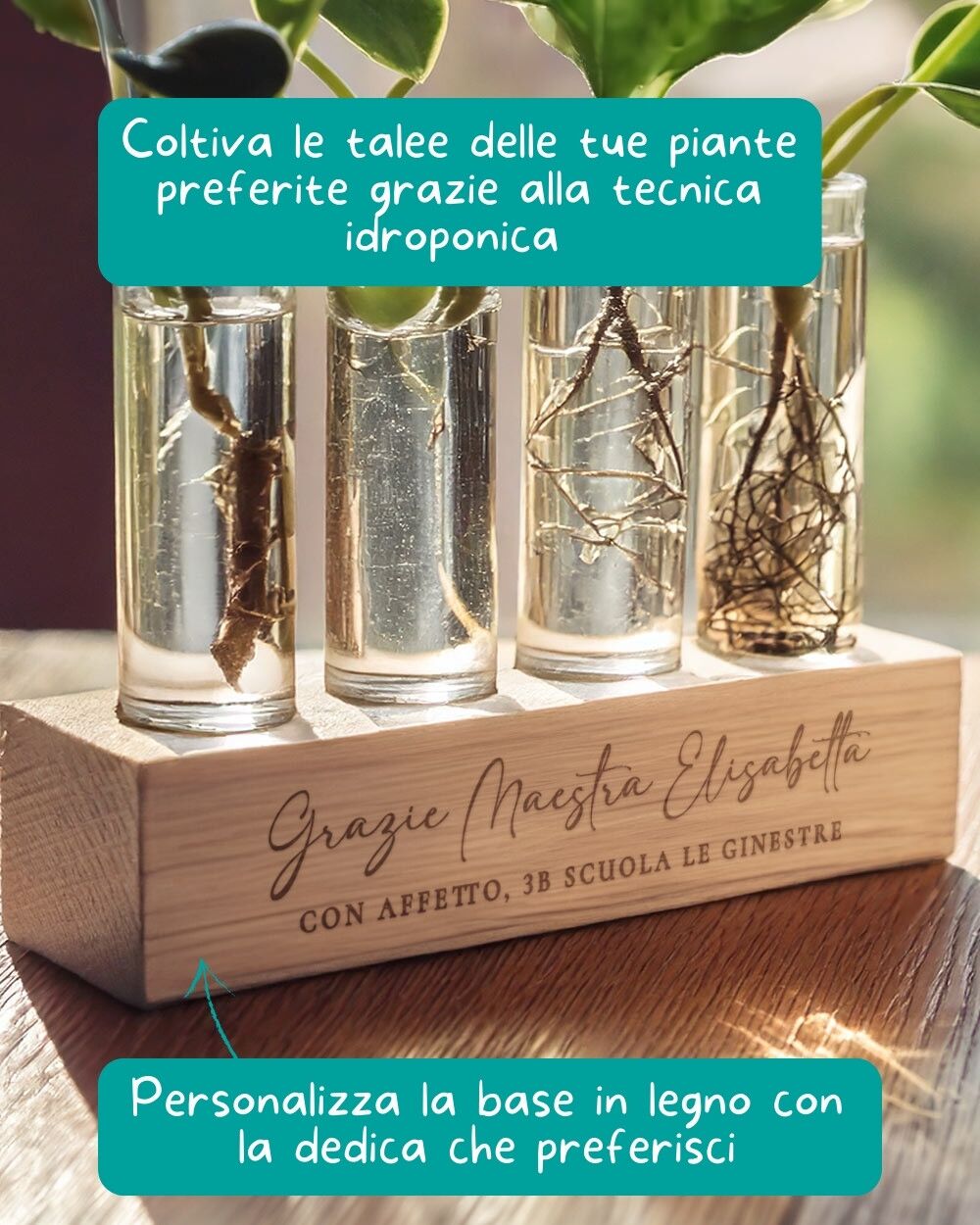 set-vasi-vetro-base-bambu-personalizzata-per-propagazione-talee-tecnica-idroponica-idea-regalo-maestre