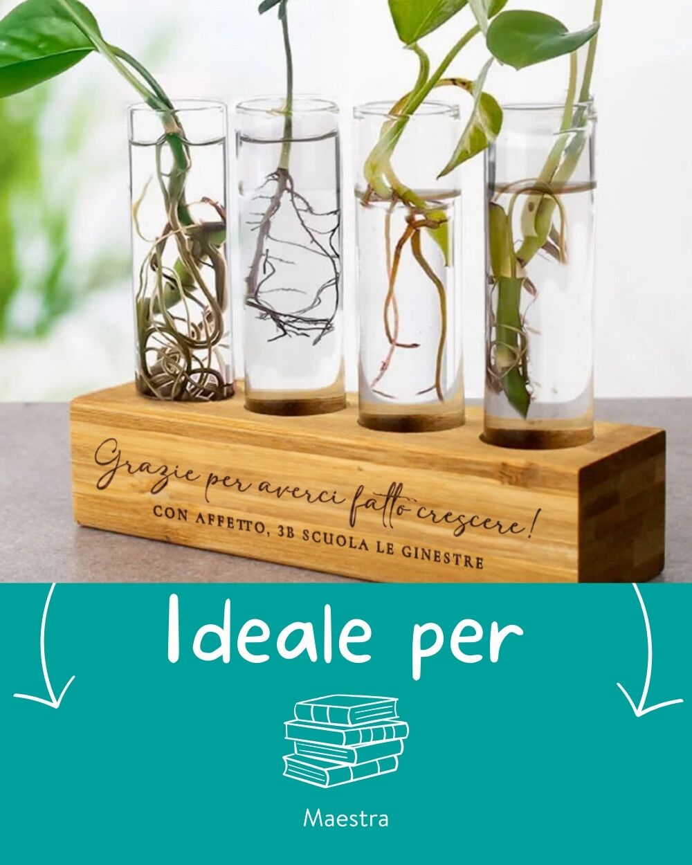 set-vasi-vetro-base-bambu-personalizzata-per-propagazione-talee-tecnica-idroponica-idea-regalo-maestre